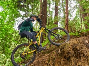 Shipping to Elmwood Park, IL 60707